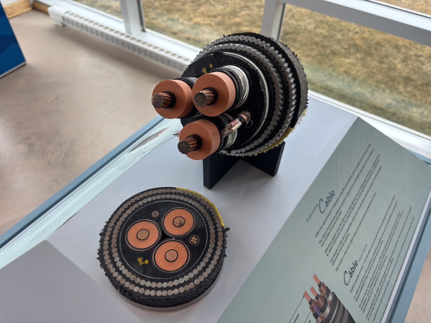 Cross-sections of a FORCE subsea power cable on display, showing three copper cores inside layers of steel armour